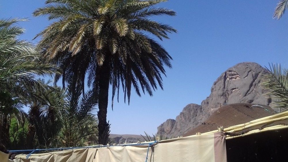 Auberge Restaurant Tissili " Oasis De Fint" Bagian luar foto